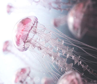 低空無人機(jī)測繪：高效、精確、廣泛應(yīng)用的新興技術(shù)