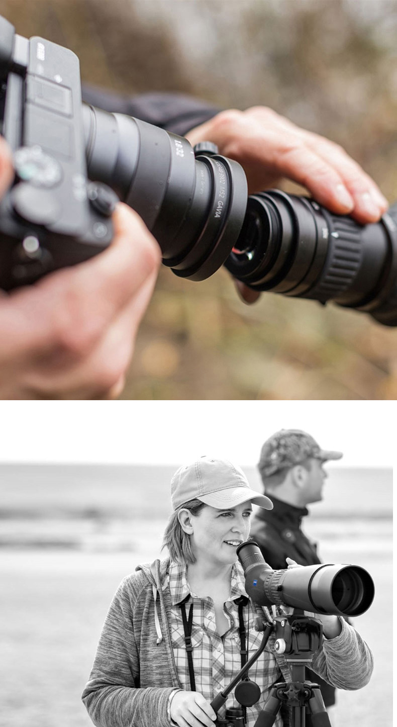 gavia6.jpg gavia6.jpg